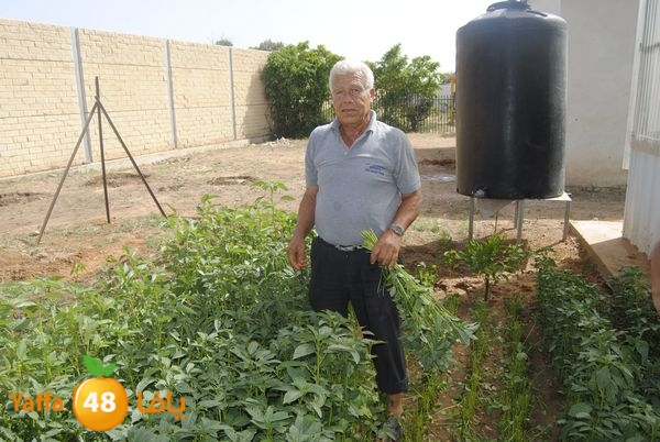 sooqelzahra2lud602 (20).JPG